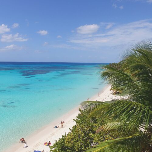 saona-cruise