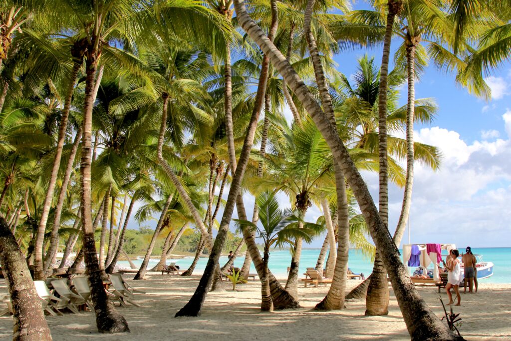 Palmilla