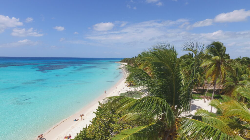 Saona