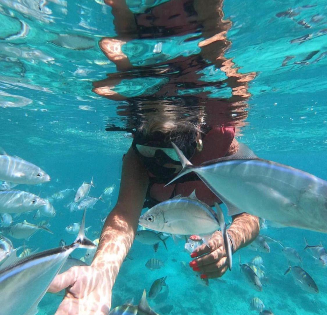 Underwater view with fish