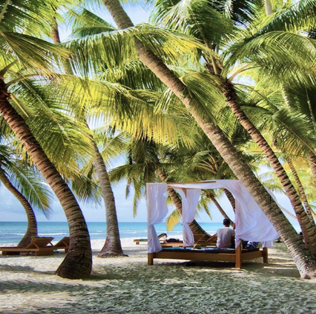 Saona